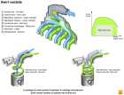 Systém rozvíření nasávané smesi Swirl zlepšuje efektivitu hoření směsi
