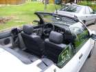 R 19 cabrio
