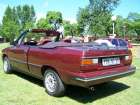 18. sraz Renault Clubu ČR - plocha